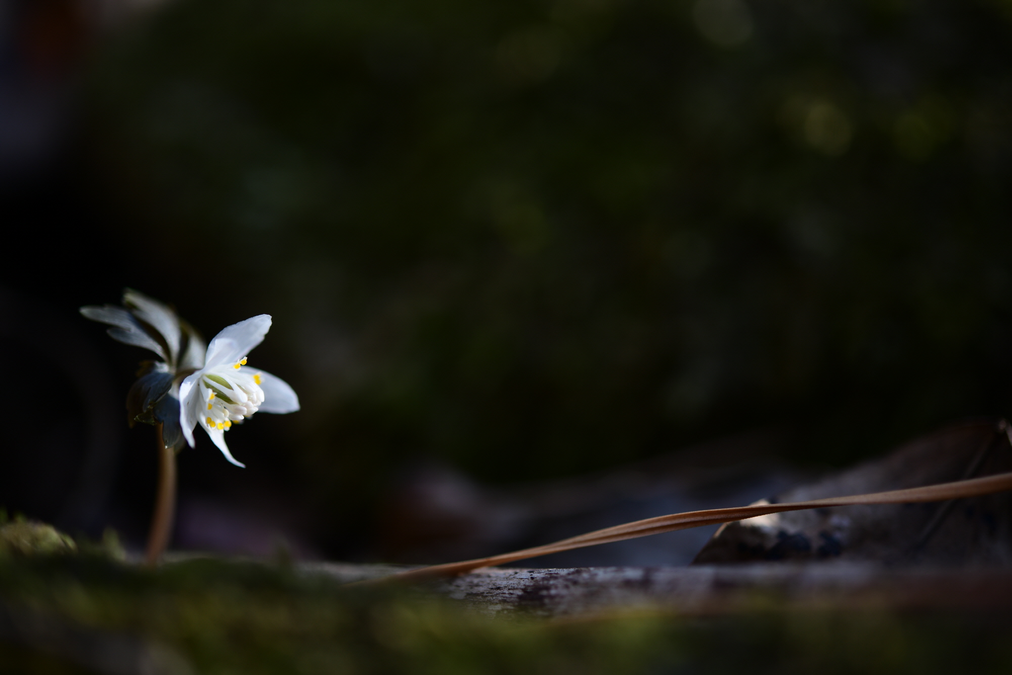 크기변환_DSC_4259.JPG