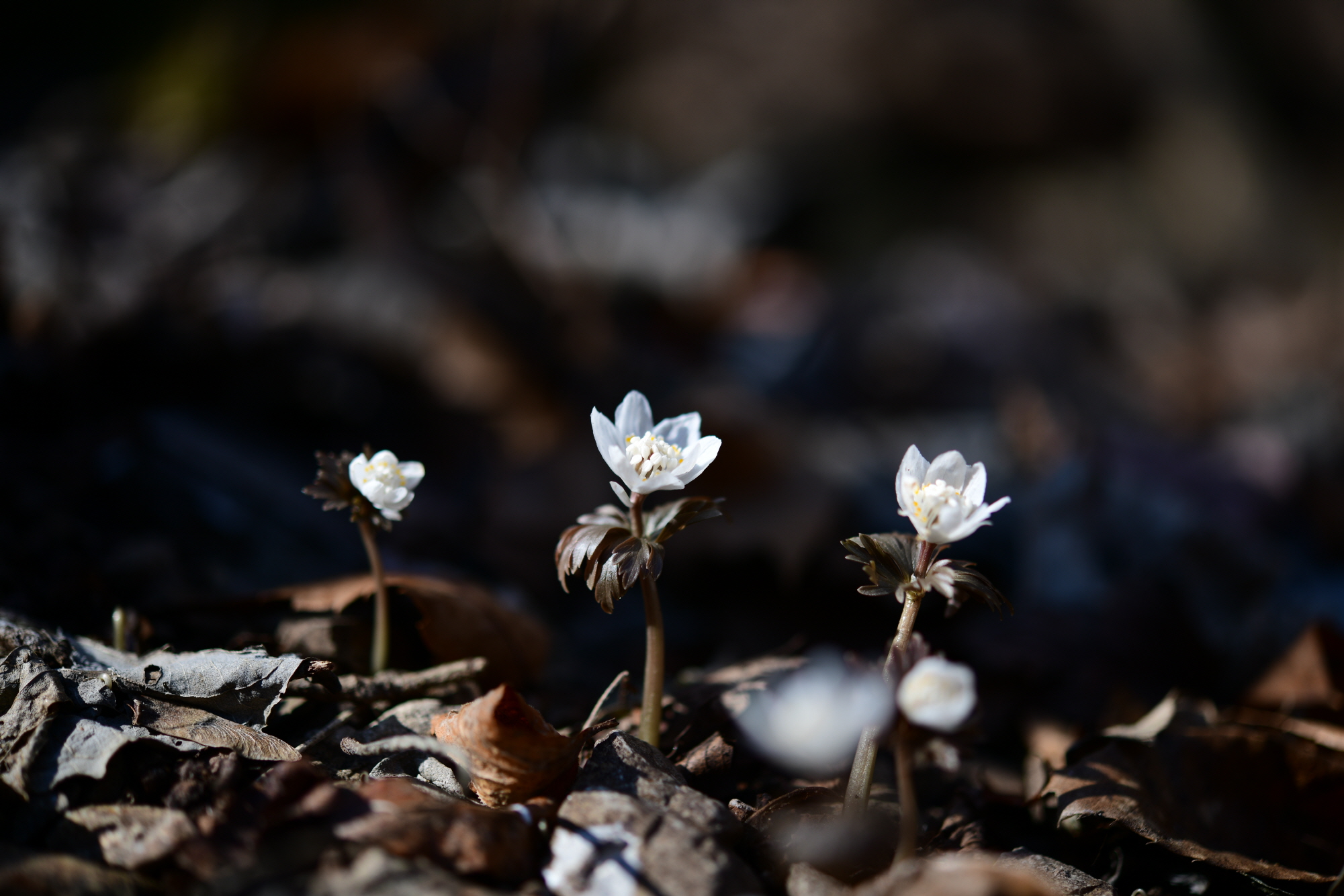 크기변환_DSC_4348.JPG