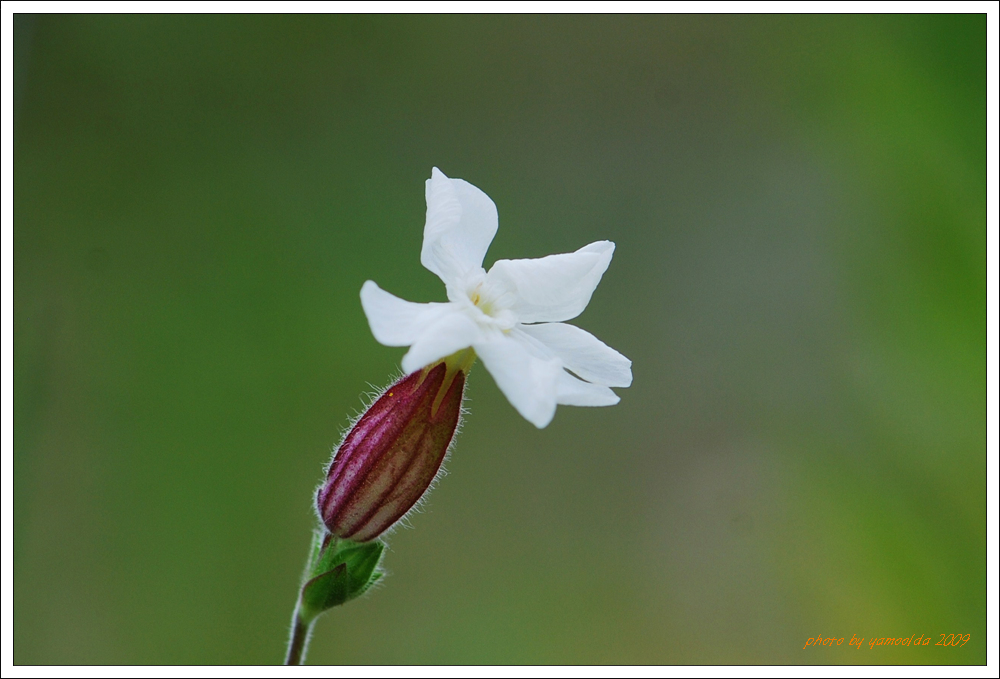 DSC_8822.jpg