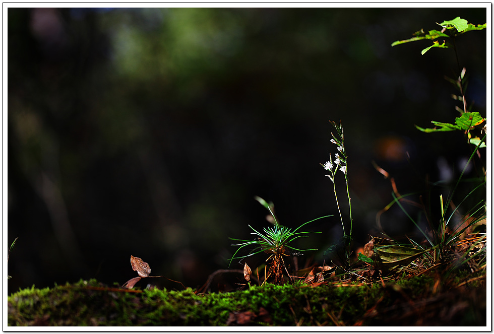 f02637f63987a87e3a6e5b2b82136aea.jpg