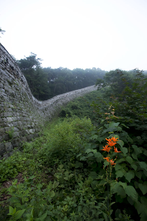 20130711_0045a-1.jpg