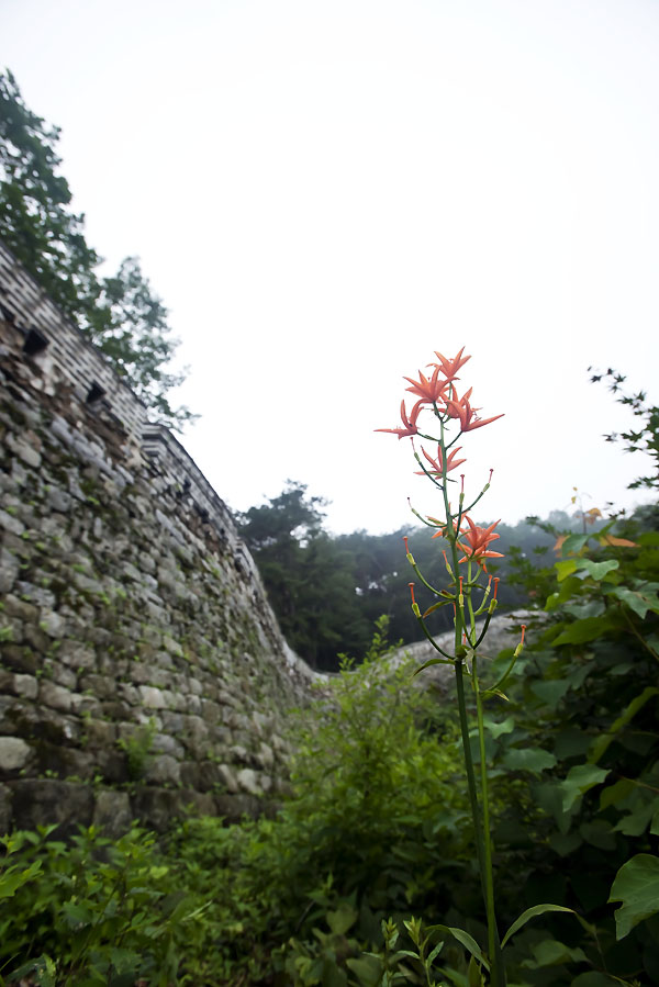 20130711_0052a-1.jpg