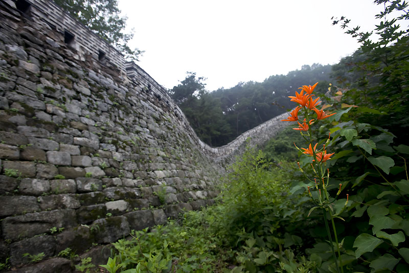 20130711_0044a-1.jpg