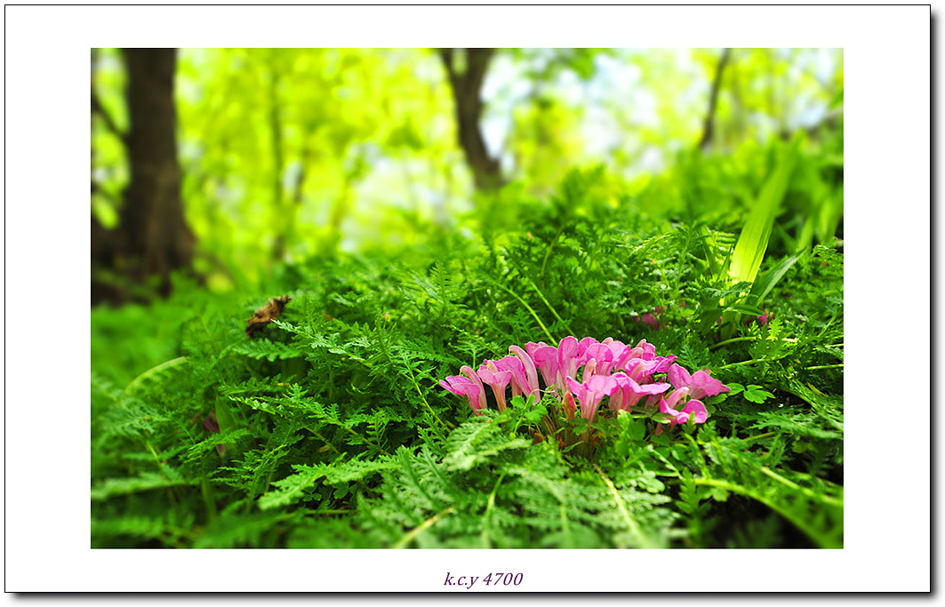 KCY_2324.jpg