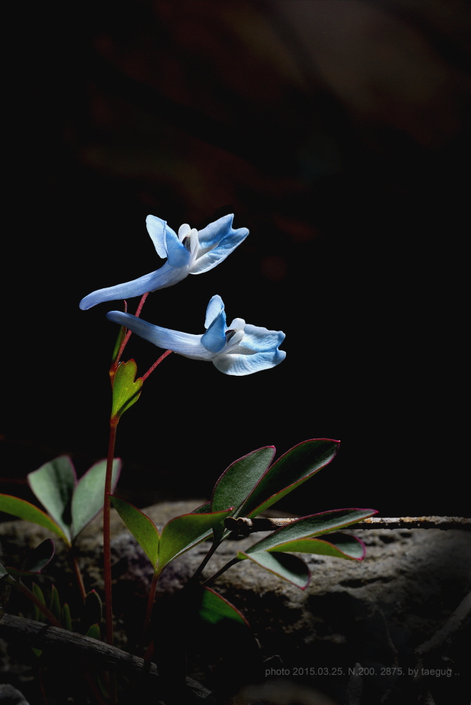 mm_DSC2875.JPG