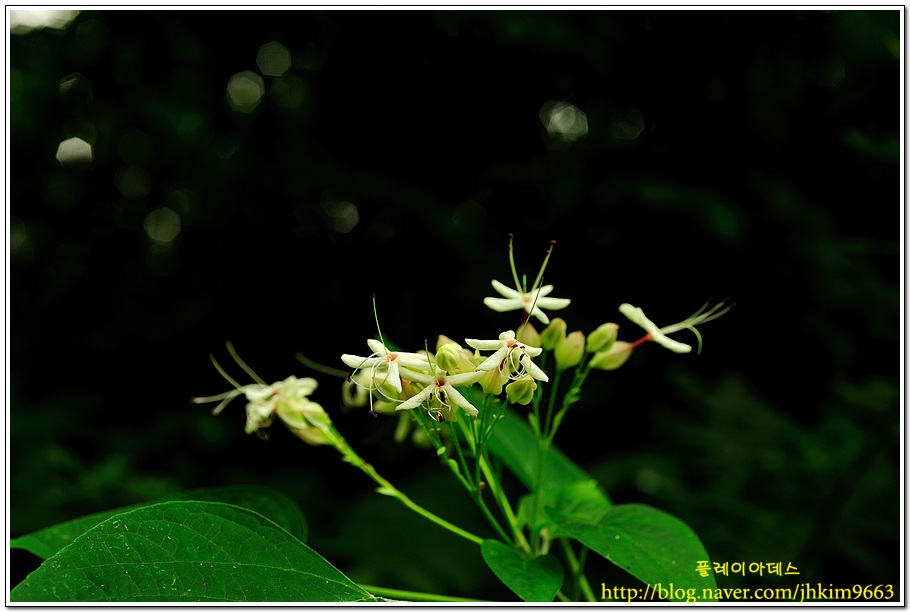 DSC_6305.jpg