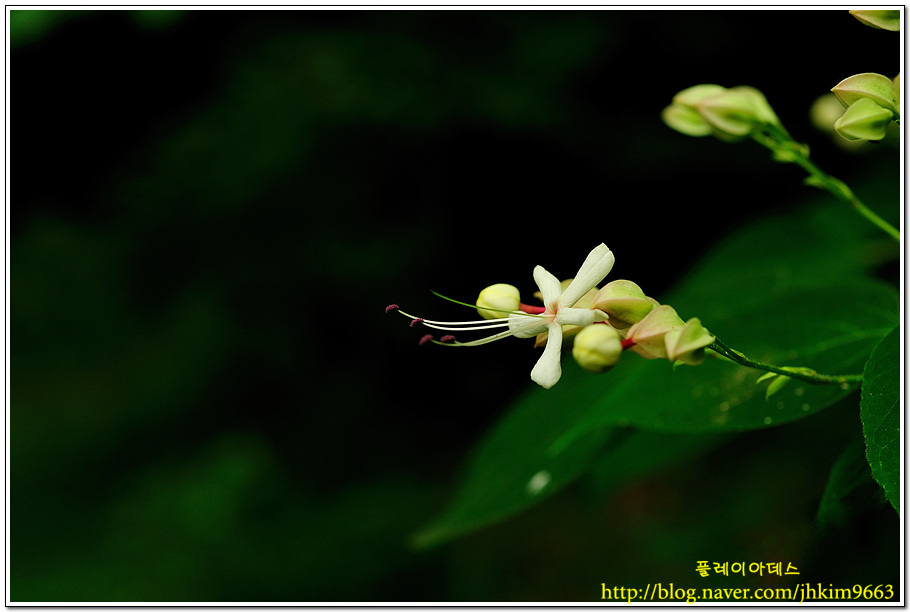 DSC_6309.jpg