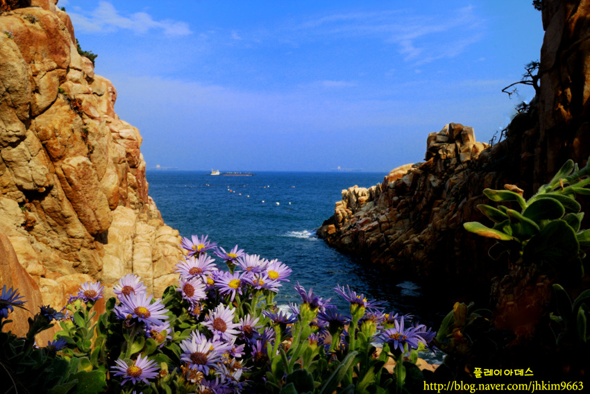 DSC_2074.jpg