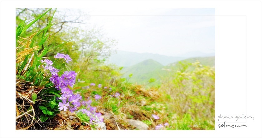 16-22 shinbul(160507)605k-764sds.jpg