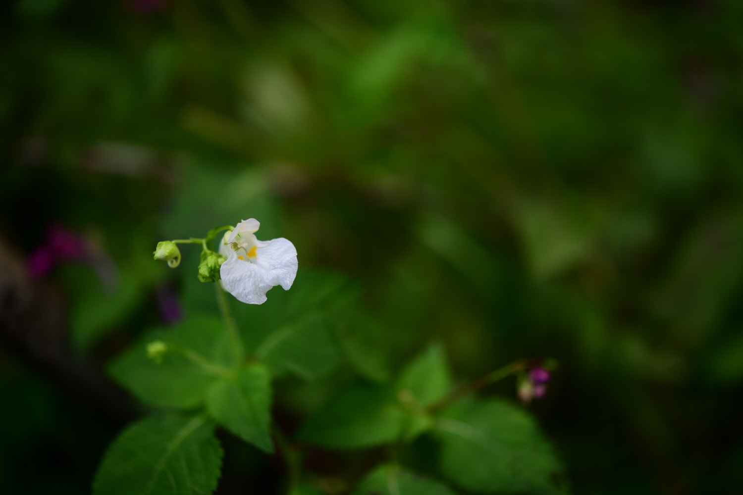 크기변환_DSC_2562.JPG