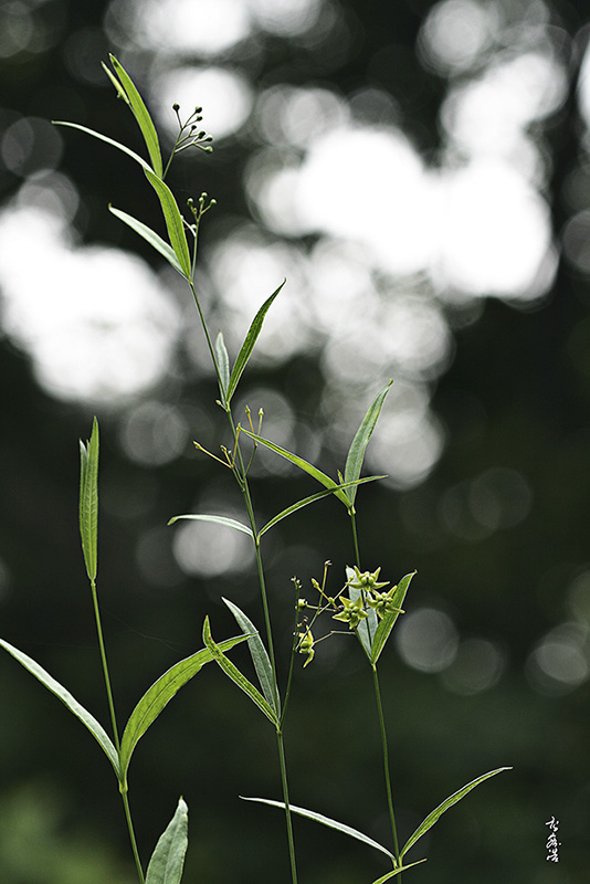 산해박7103.jpg