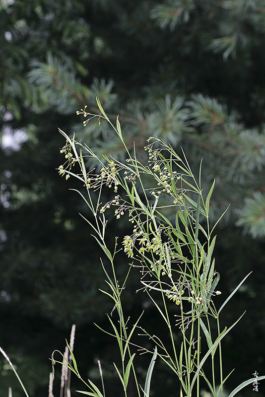 산해박7097.jpg