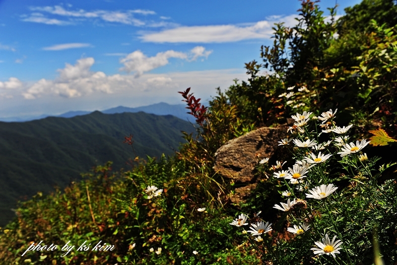 DSC_9117.jpg