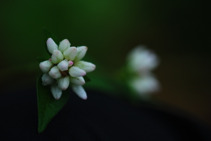 크기변환_DSC_0045.JPG