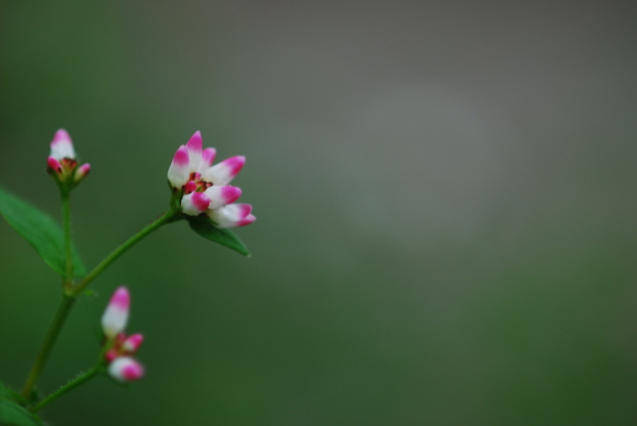 크기변환_DSC_0055.JPG