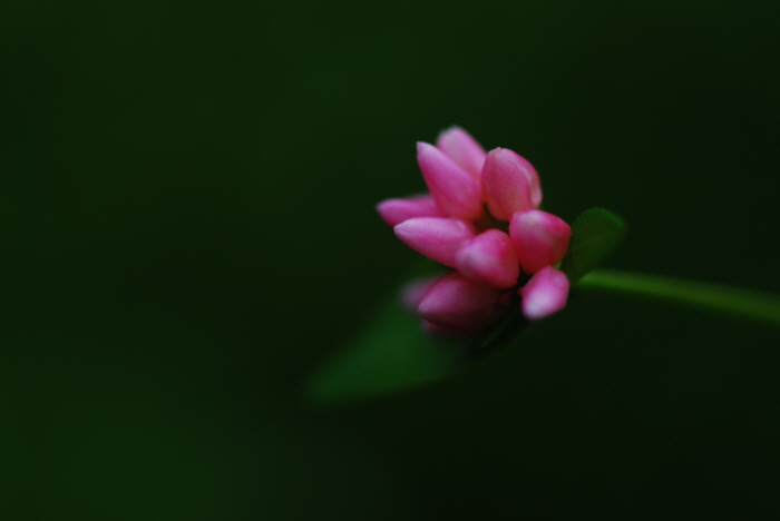 크기변환_DSC_0132.JPG
