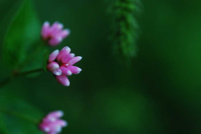 크기변환_DSC_0124.JPG