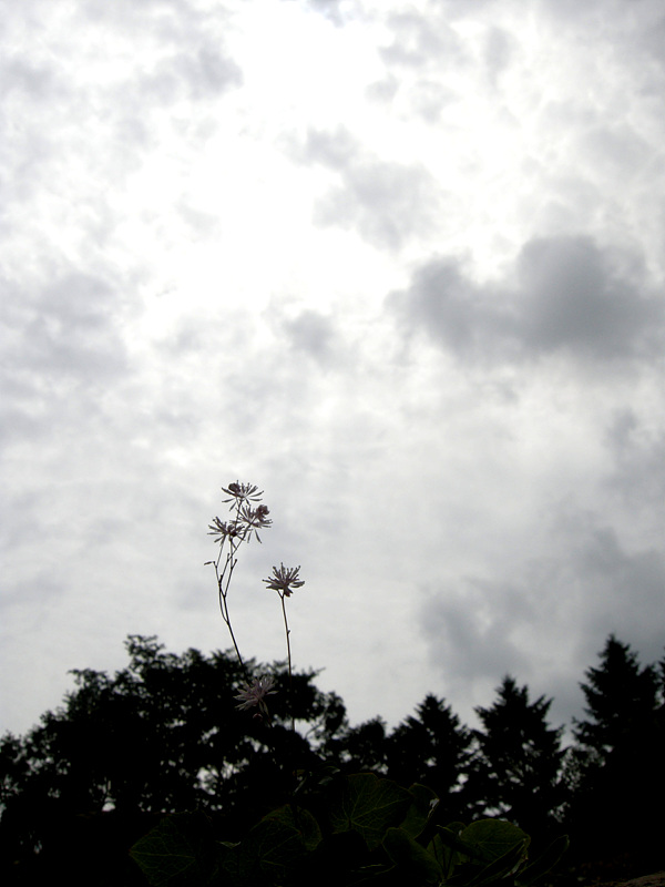 사진 076.jpg