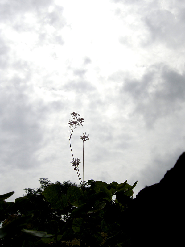 사진 074.jpg