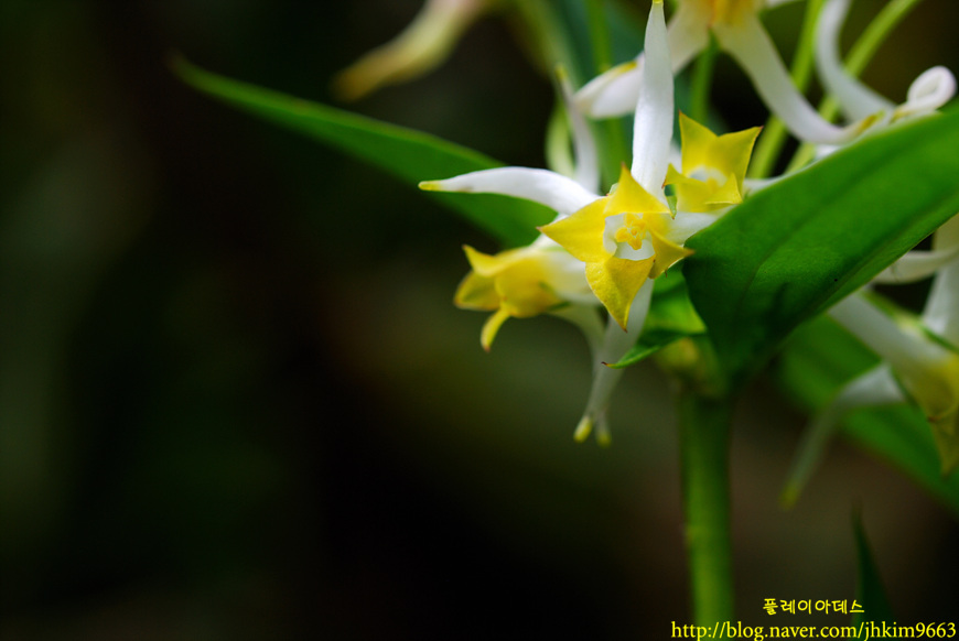 DSC_8282.jpg