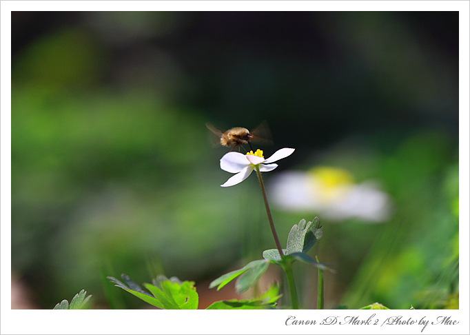 IMG_7983.jpg