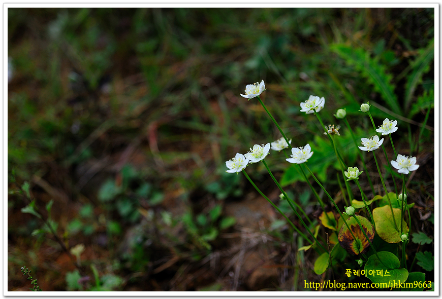 DSC_5789.jpg