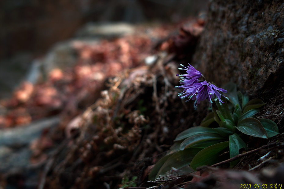 SDIM0217.jpg
