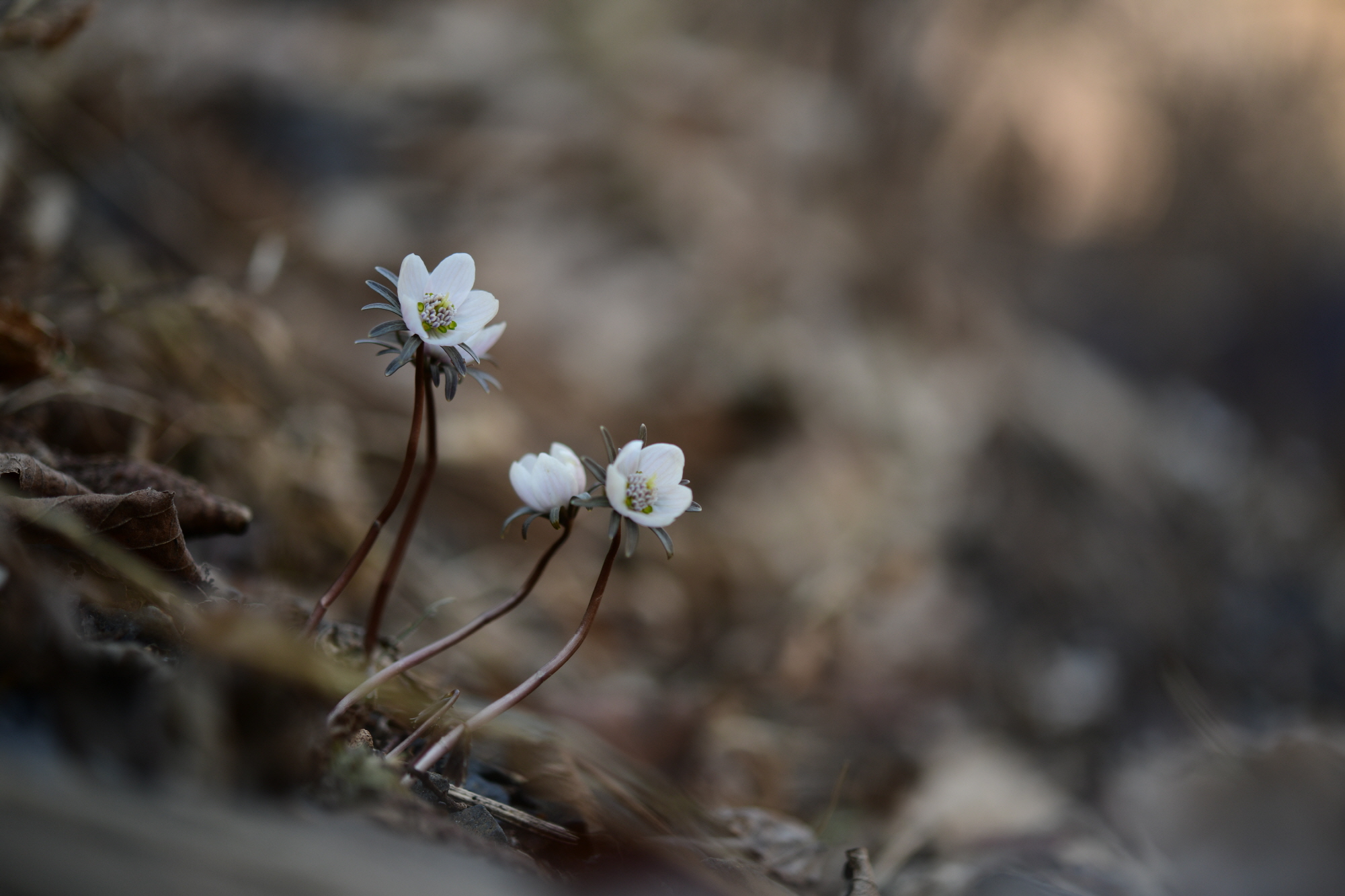 크기변환_DSC_4543.JPG