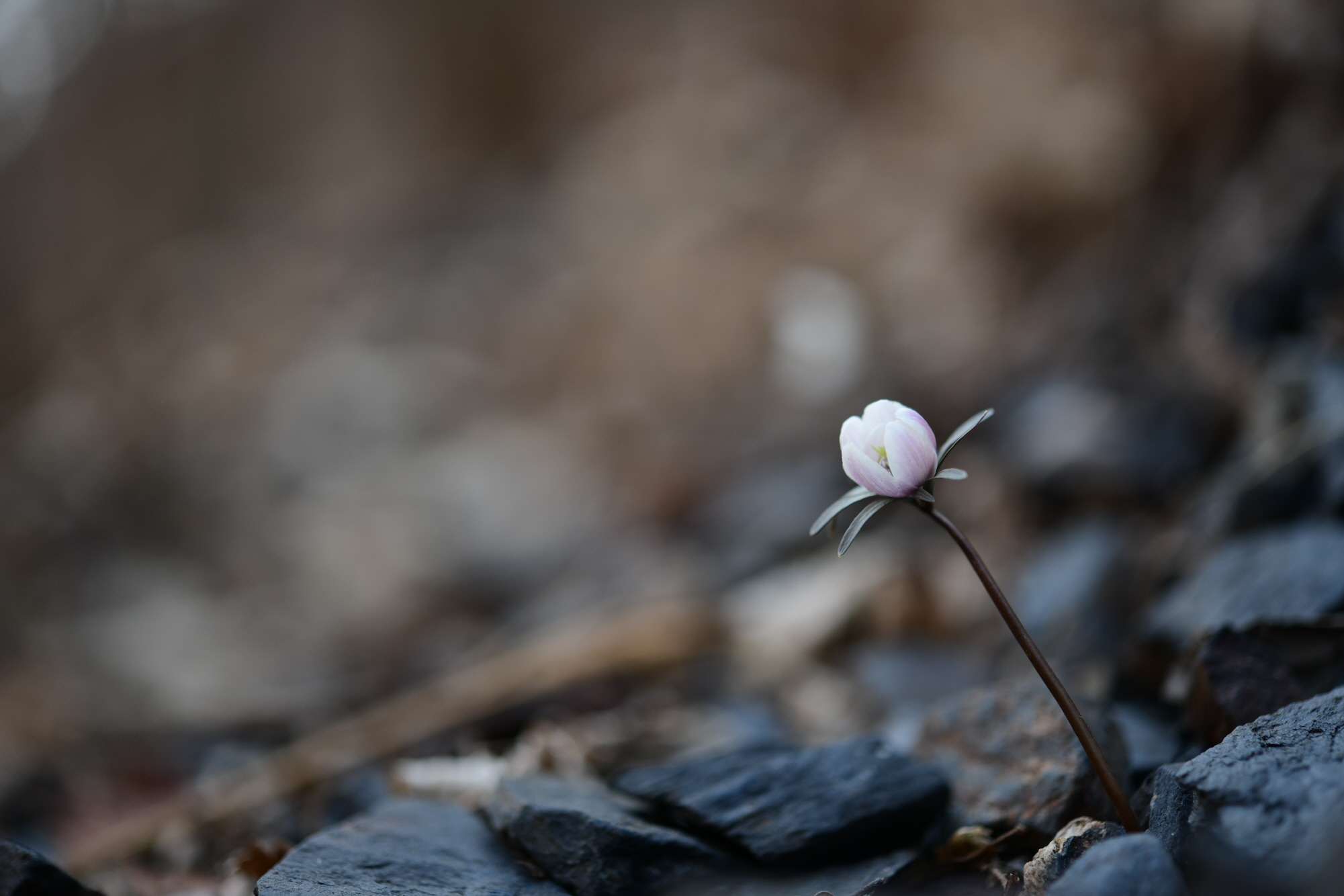 크기변환_DSC_4529.JPG