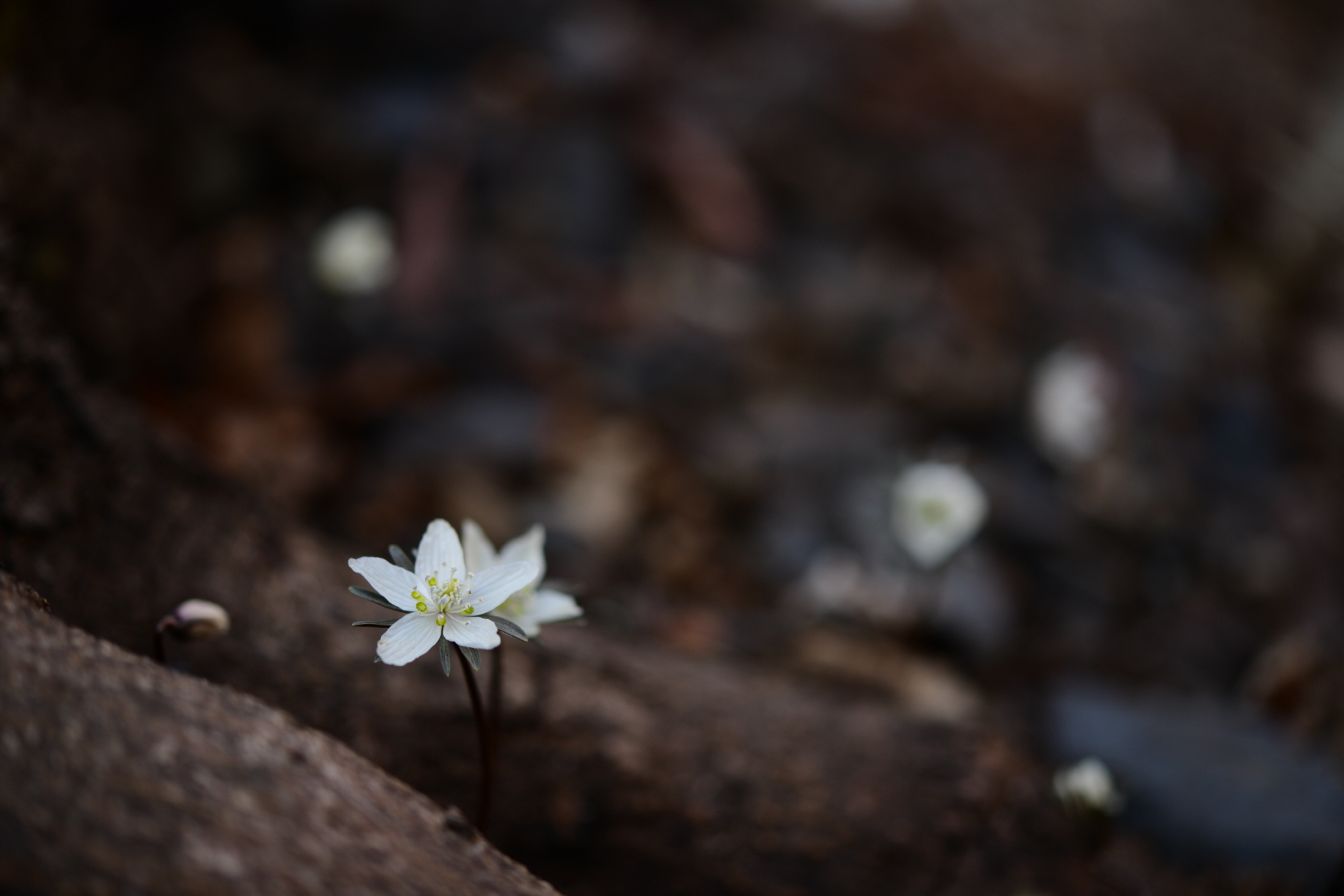 크기변환_DSC_4391.JPG