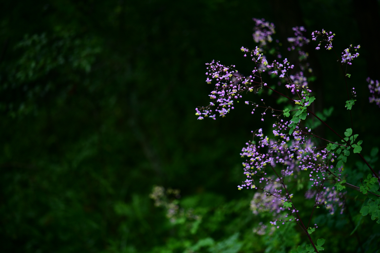 크기변환_DSC_3412.JPG