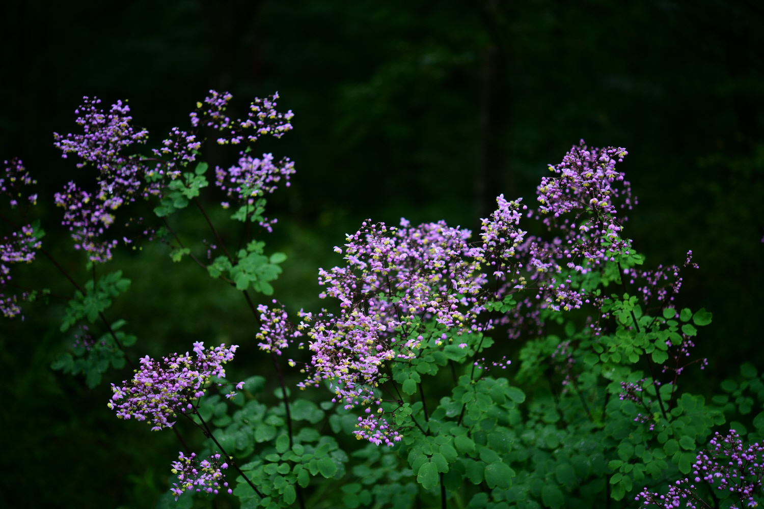 크기변환_DSC_3415.JPG
