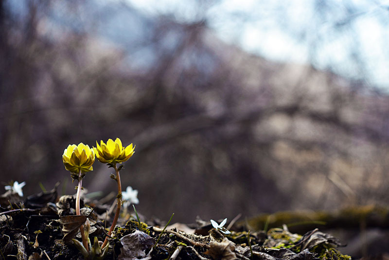 20130322_0114-1.jpg