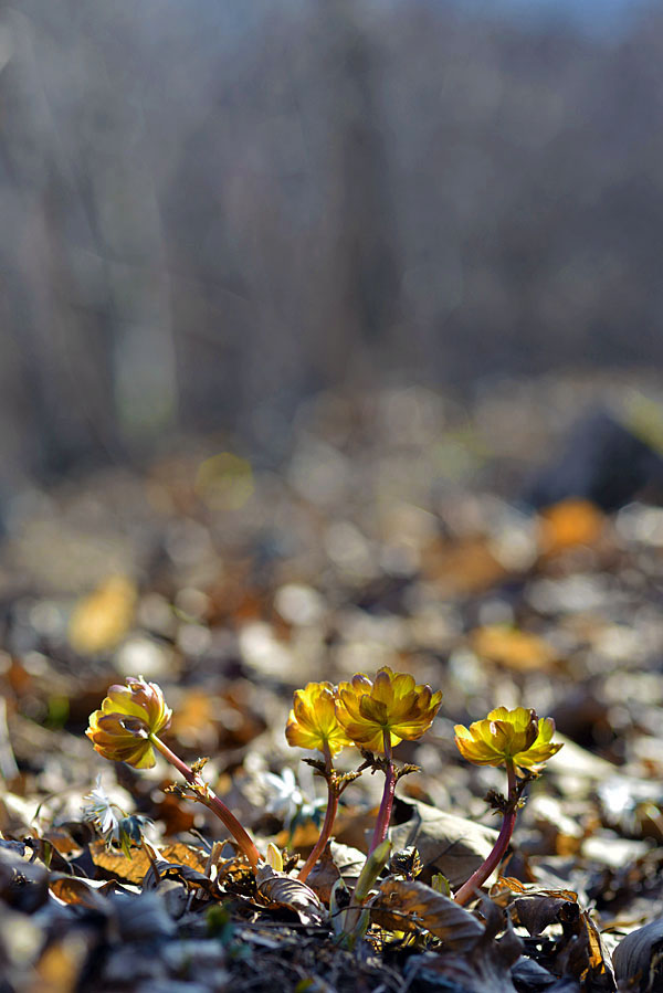 20130322_0060-1.jpg