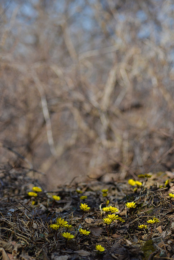 20130322_0078-1.jpg