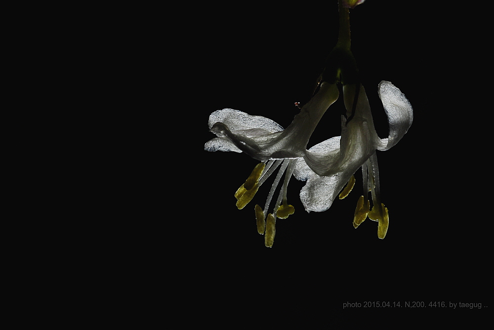 mm_DSC4416.JPG