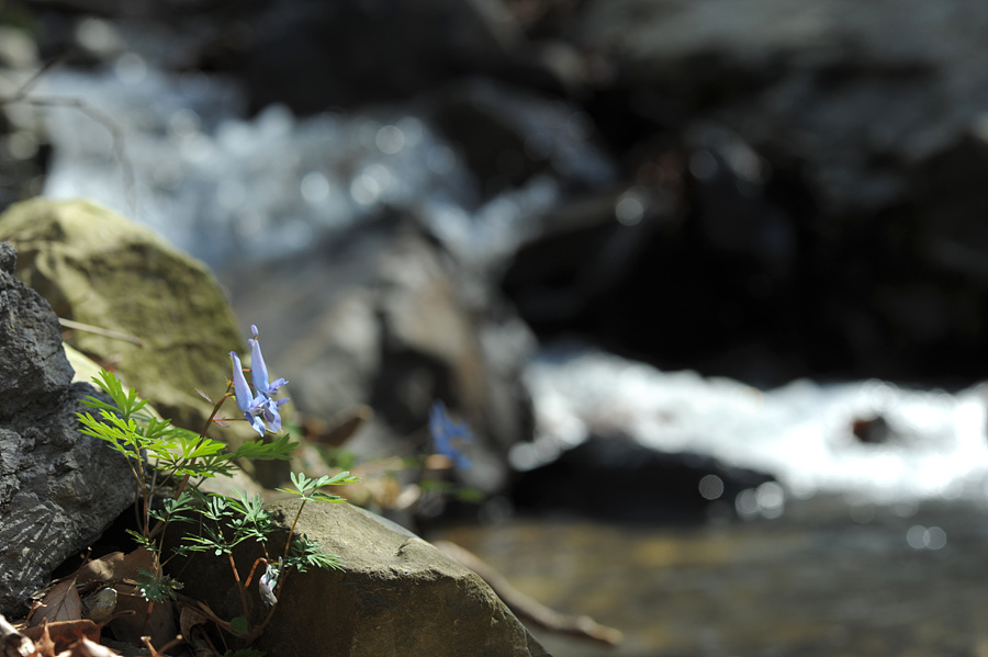 DSC_4046.jpg