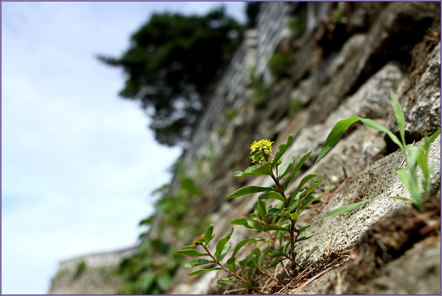 2010-07-04 098.jpg