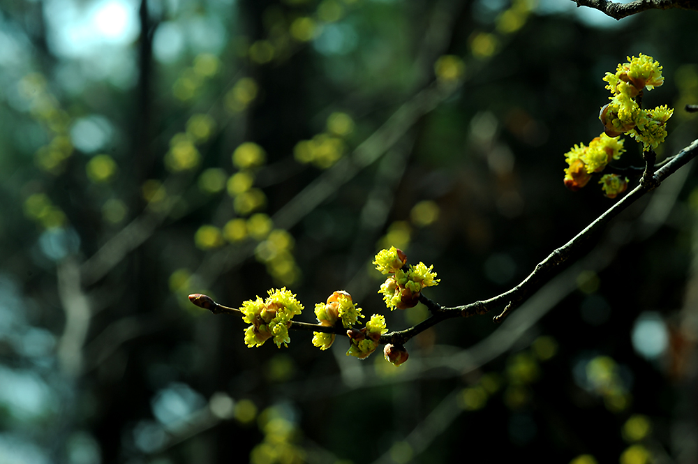 11.03.13 (236).jpg