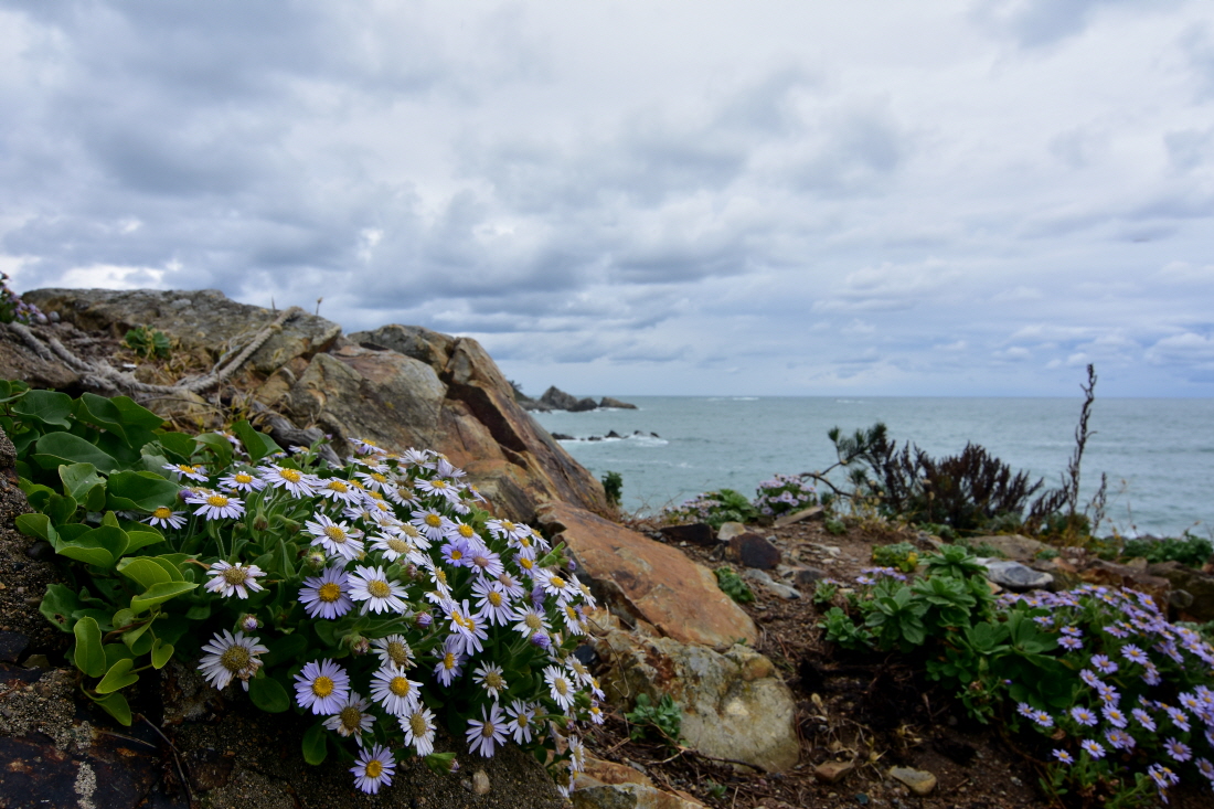 DSC_7855.JPG