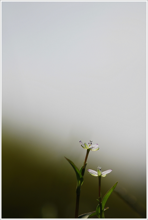 _HSG0154.jpg