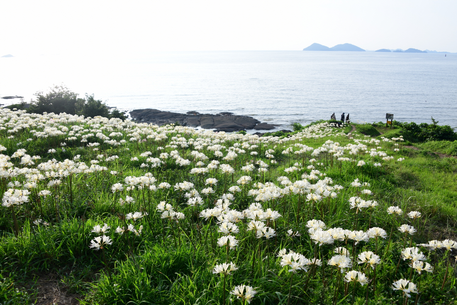크기변환_DSC_9338.JPG