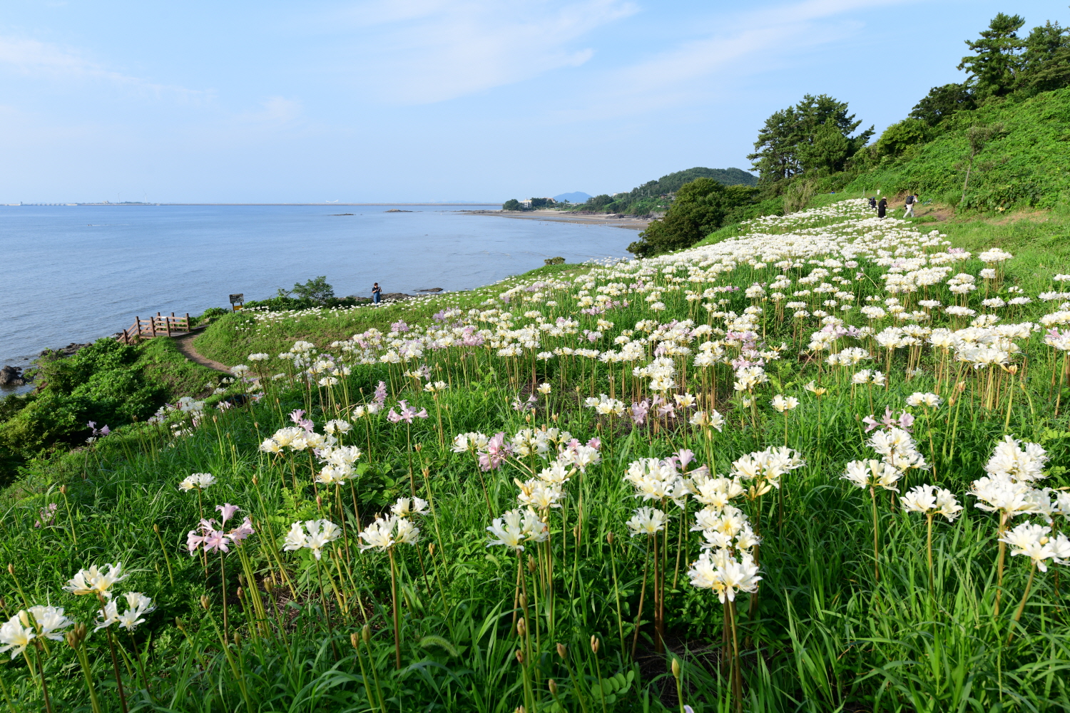 크기변환_DSC_9226.JPG