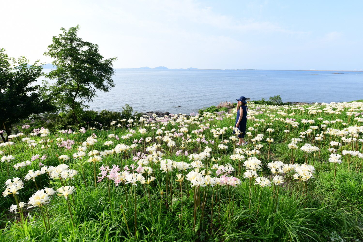 크기변환_DSC_9276.JPG