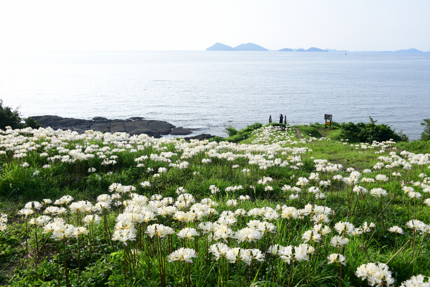크기변환_DSC_9340.JPG