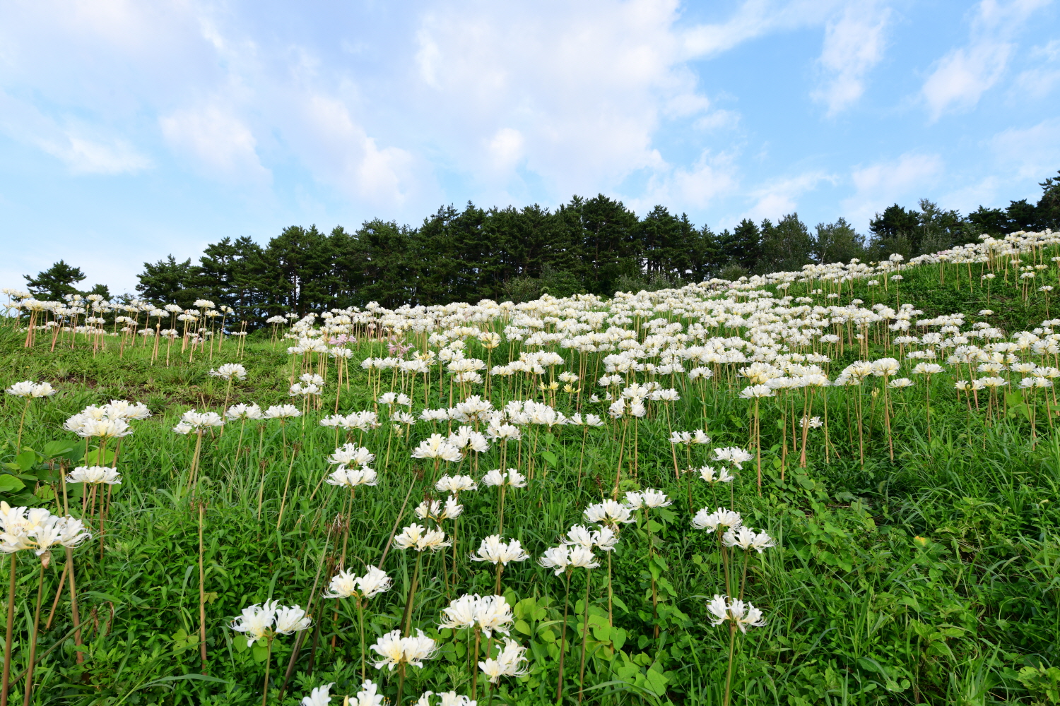 크기변환_DSC_9414.JPG