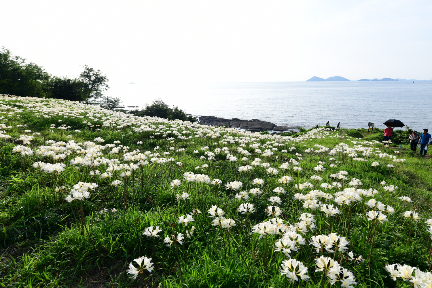 크기변환_DSC_9213.JPG