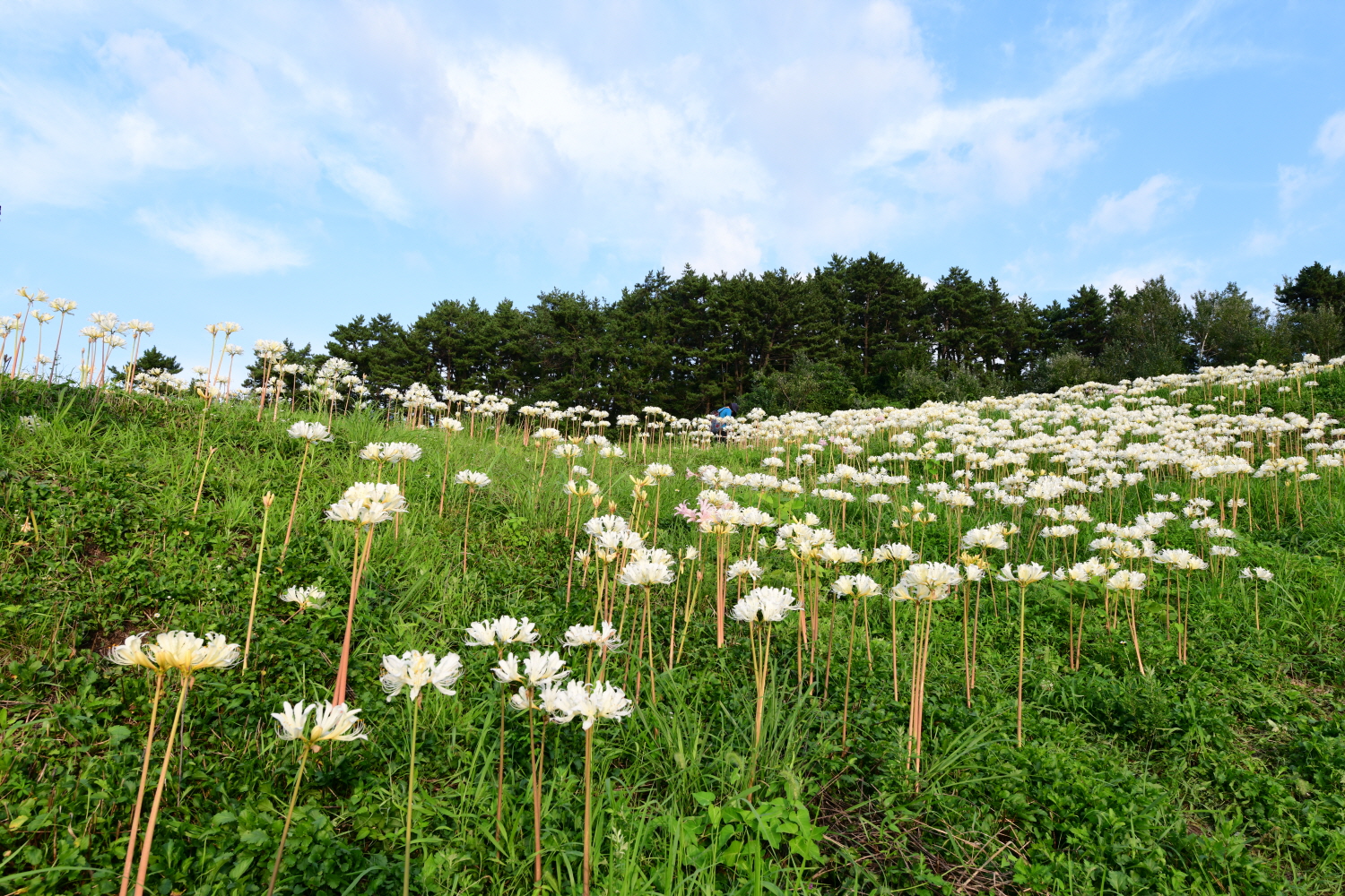 크기변환_DSC_9424.JPG