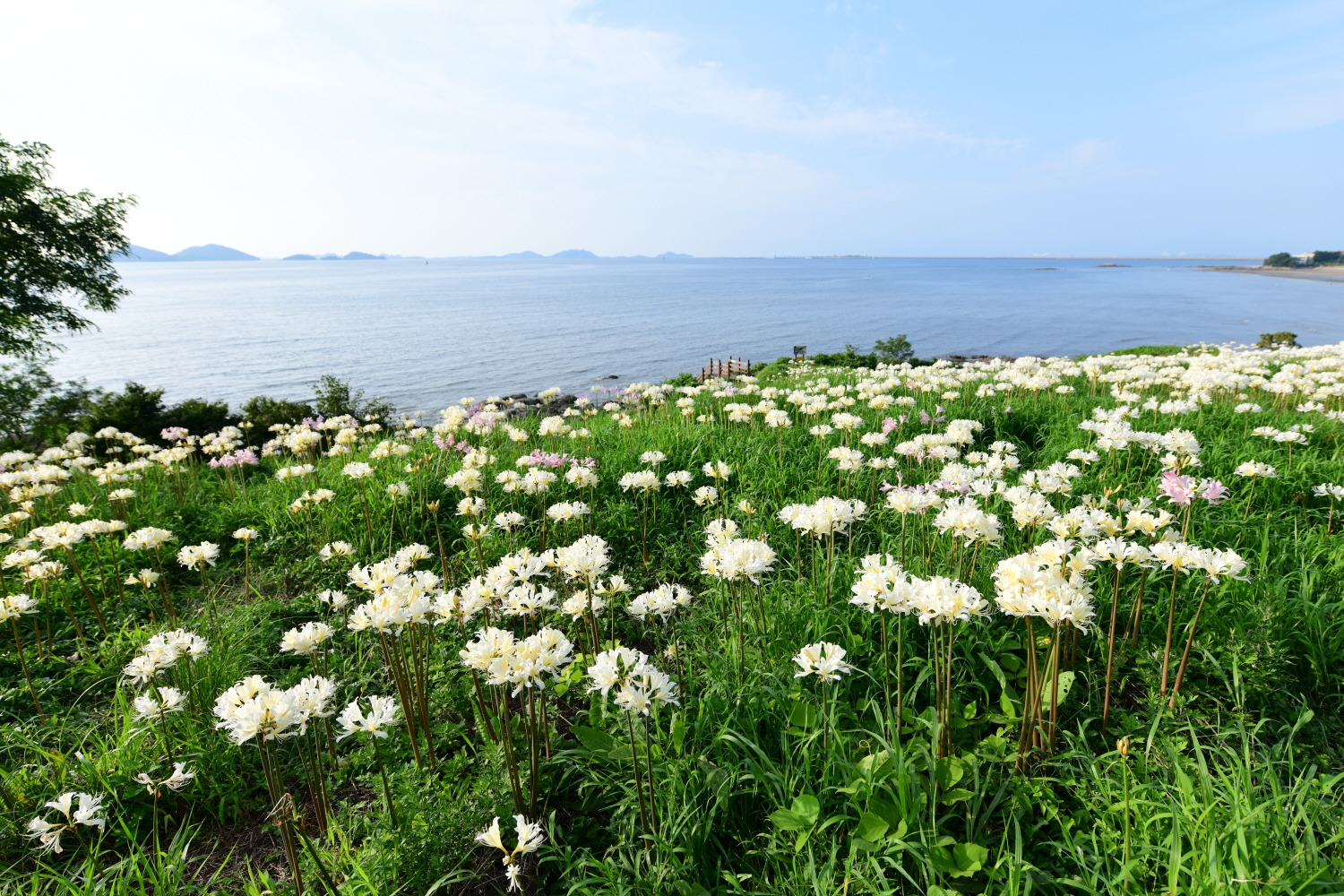 크기변환_DSC_9268.JPG