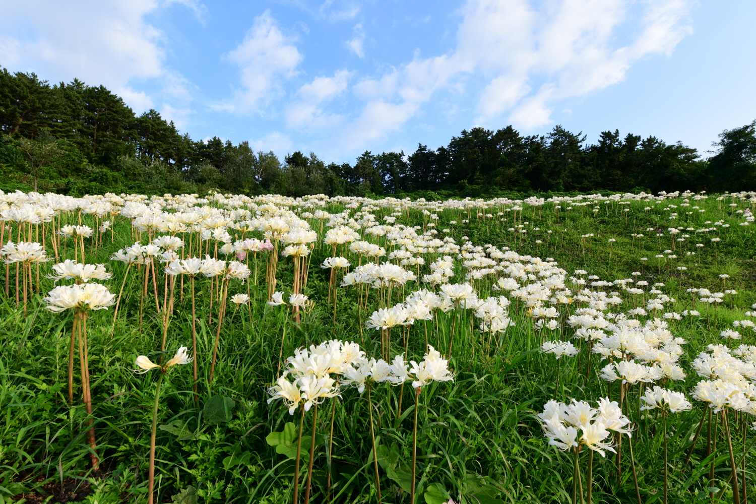 크기변환_DSC_9404.JPG